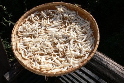 ���̍D���Ȏ�d��