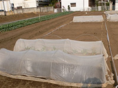 ���̍D���Ȏ�d��