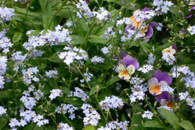 ���̍D���Ȏ�d��