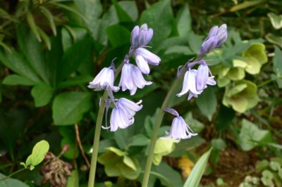 ���̍D���Ȏ�d��