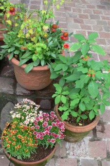 ���̍D���Ȏ�d��