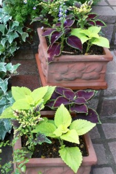 ���̍D���Ȏ�d��