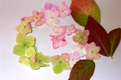 ���̍D���Ȏ�d��