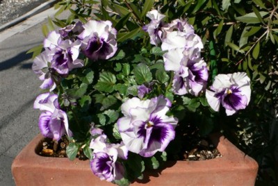 ���̍D���Ȏ�d��