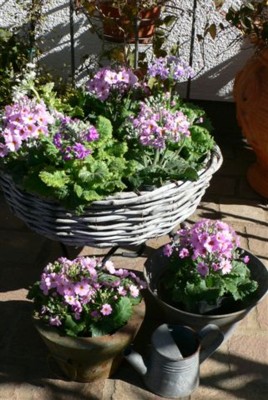 ���̍D���Ȏ�d��