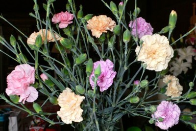 ���̍D���Ȏ�d��