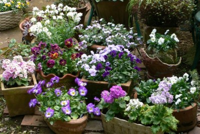 ���̍D���Ȏ�d��