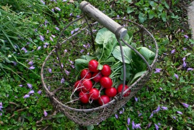 ���̍D���Ȏ�d��