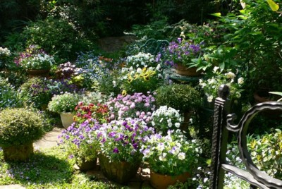 ���̍D���Ȏ�d��