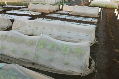 ���̍D���Ȏ�d��