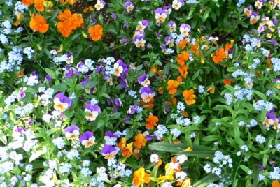 ���̍D���Ȏ�d��