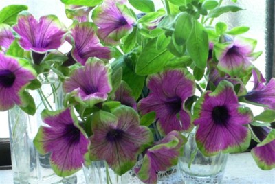 ���̍D���Ȏ�d��