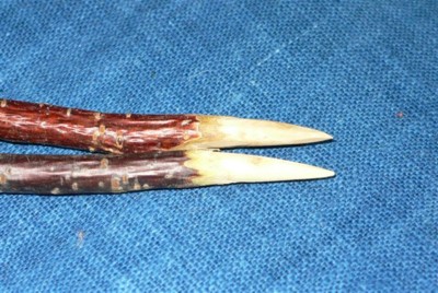 ���̍D���Ȏ�d��