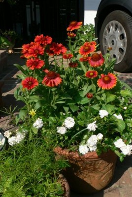 ���̍D���Ȏ�d��