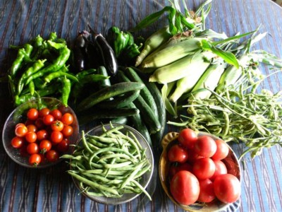 ���̍D���Ȏ�d��