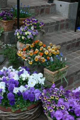 ���̍D���Ȏ�d��