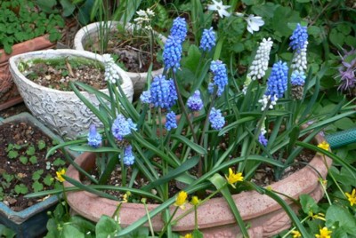 ���̍D���Ȏ�d��