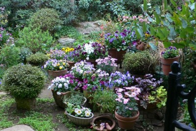 ���̍D���Ȏ�d��