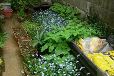 ���̍D���Ȏ�d��