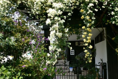 ���̍D���Ȏ�d��