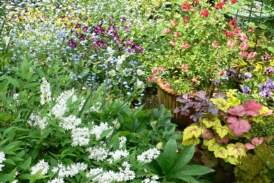 ���̍D���Ȏ�d��