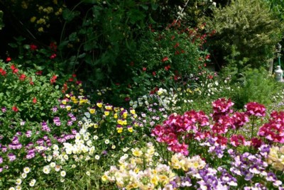 ���̍D���Ȏ�d��