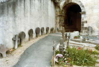 �o�X�N�̋���ʐ^