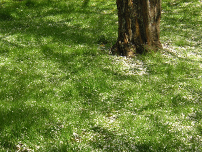 Takapuna Beach写真