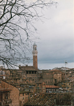 �V�G�[�i���s�X��]��