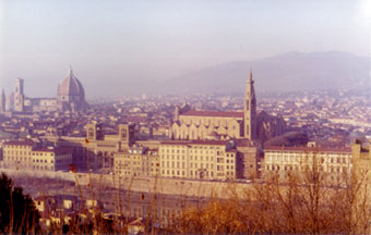 �~�P�����W�F���L�ꂩ��