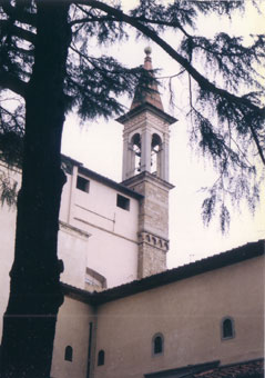 �T���E�}���R�C���@