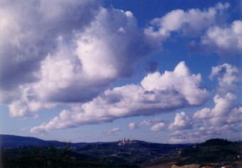 �T���E�W�~�j���[�m���i