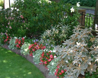 Dick����̃V�b�N�ȃ{�[�_�[�Ԓd(c)Les & Renee Dick 