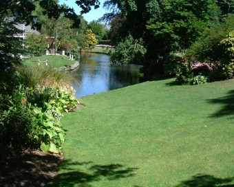 ���i�E���F�C���뉀