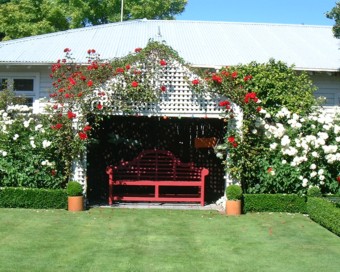 �v����������������̒�̂����܂�