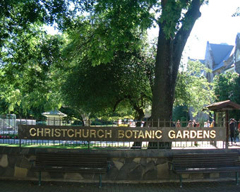 �N���C�X�g�`���[�`�@�{�^�j�b�N�K�[�f��