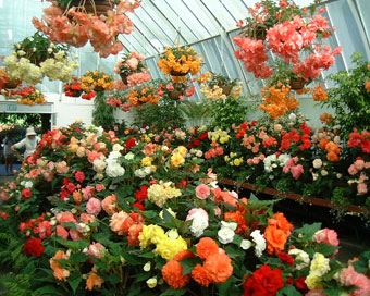 �x�S�j�A����