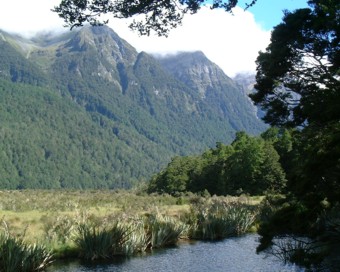 �o������������