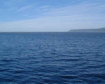 �}�E���g�N�b�N�Ɣ�s��