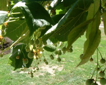 �o������������