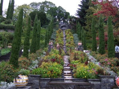 �}�C�i�E���C�^���A���K�i�̑�