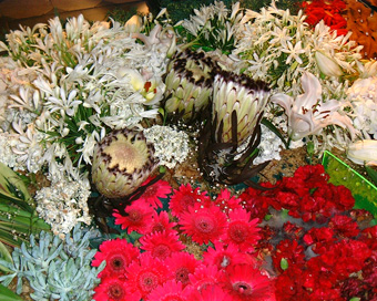 ChristChurch Cathedral Floral Carpet 2007