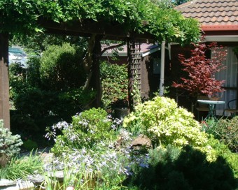 Dick����̓��{���̃R�[�i�[