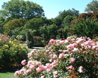 ���i�E���F�C���̃��[�Y�K�[�f��