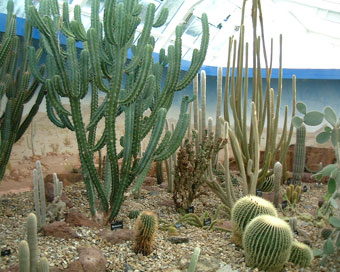 �T�{�e������