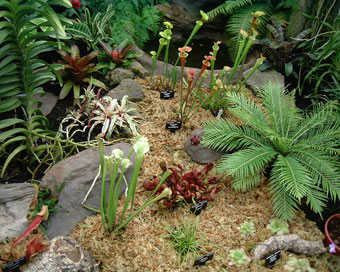 �H���A��