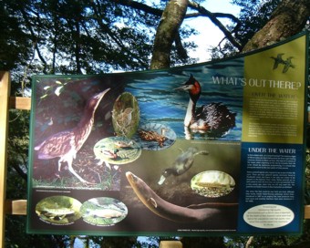 �}�E���g�N�b�N�Ɣ�s��