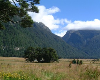 �}�E���g�N�b�N