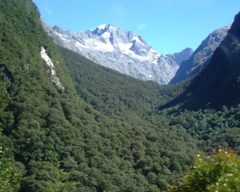 �A�[�~�e�[�W�z�e�������