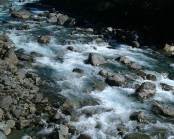 �A�[�~�e�[�W�z�e�������